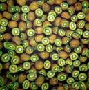 TF-106 Tropical Fruits - 3-ply - Robert Charles